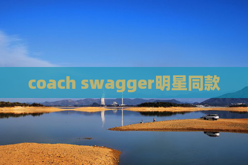 coach swagger明星同款